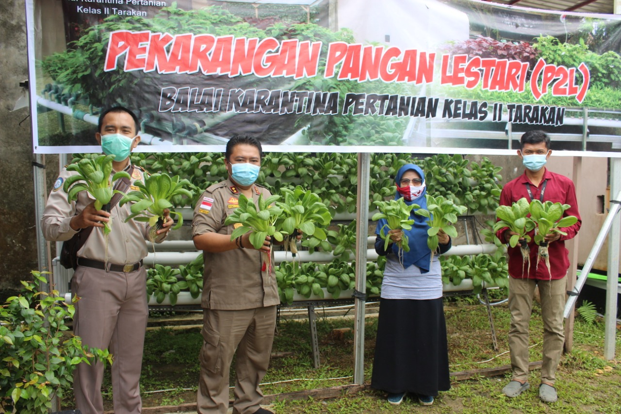 Langkah Nyata Karantina Pertanian Tarakan Sukseskan P2L di Kaltara