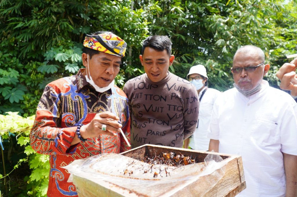 IPSS Kaltara Tawarkan Program Pembangunan Food Estate Berbasis Korporasi di Kaltara.