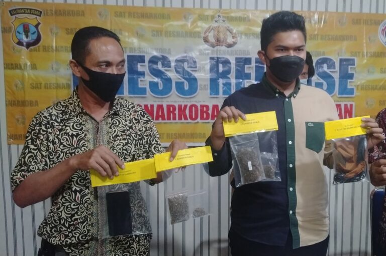 Main Badminton Bawa Ganja, AA Diamankan Satreskoba Polres Tarakan