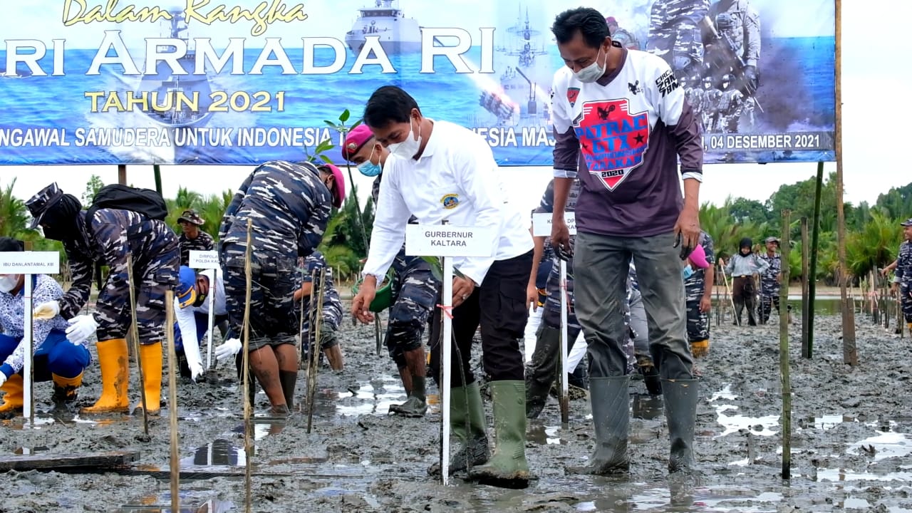 Peringatan Hari Armada RI, Gubernur Bersama Danlantamal XIII Tanam Mangroove di Tarakan