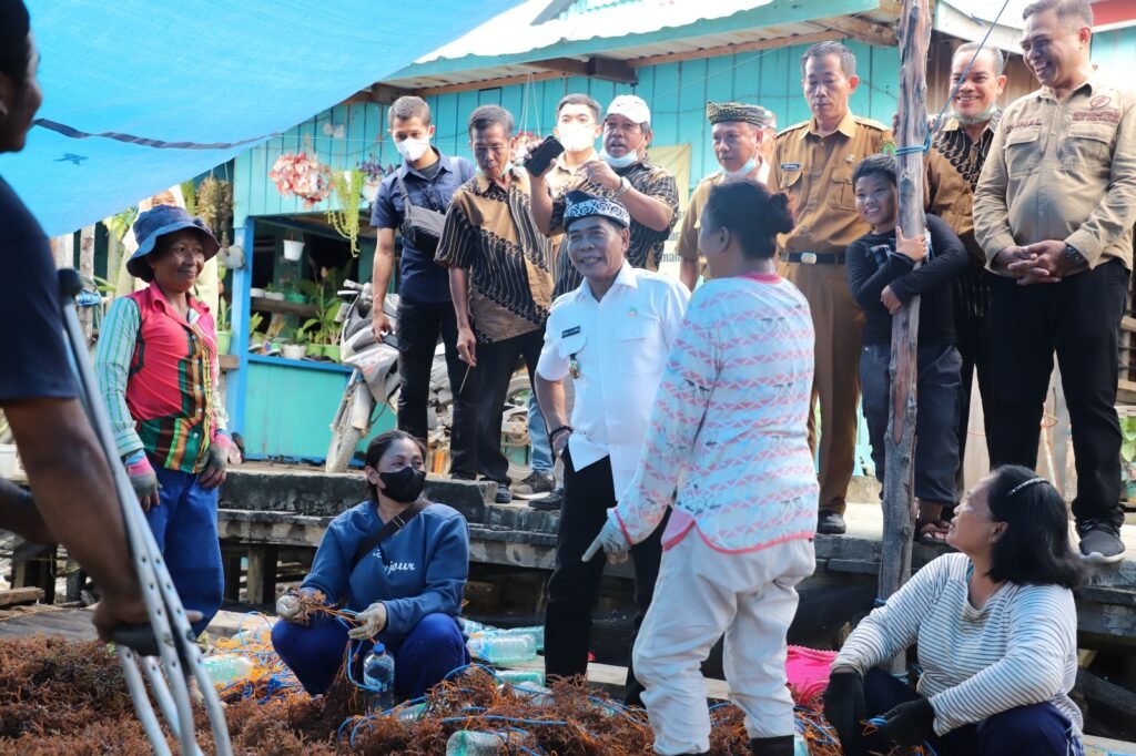 Lirik Potensi, DPMPTSP Kaltara Kaji Industri Rumput Laut