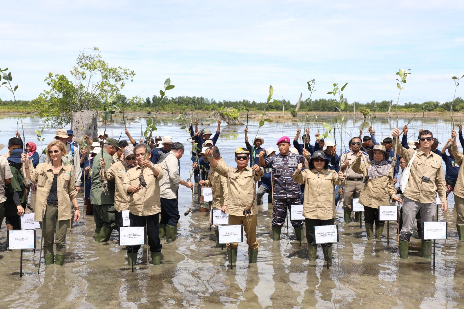 Gubernur Ikuti Kick Off Penanaman Mangrove For Coastal Resilience di Provinsi Kaltara