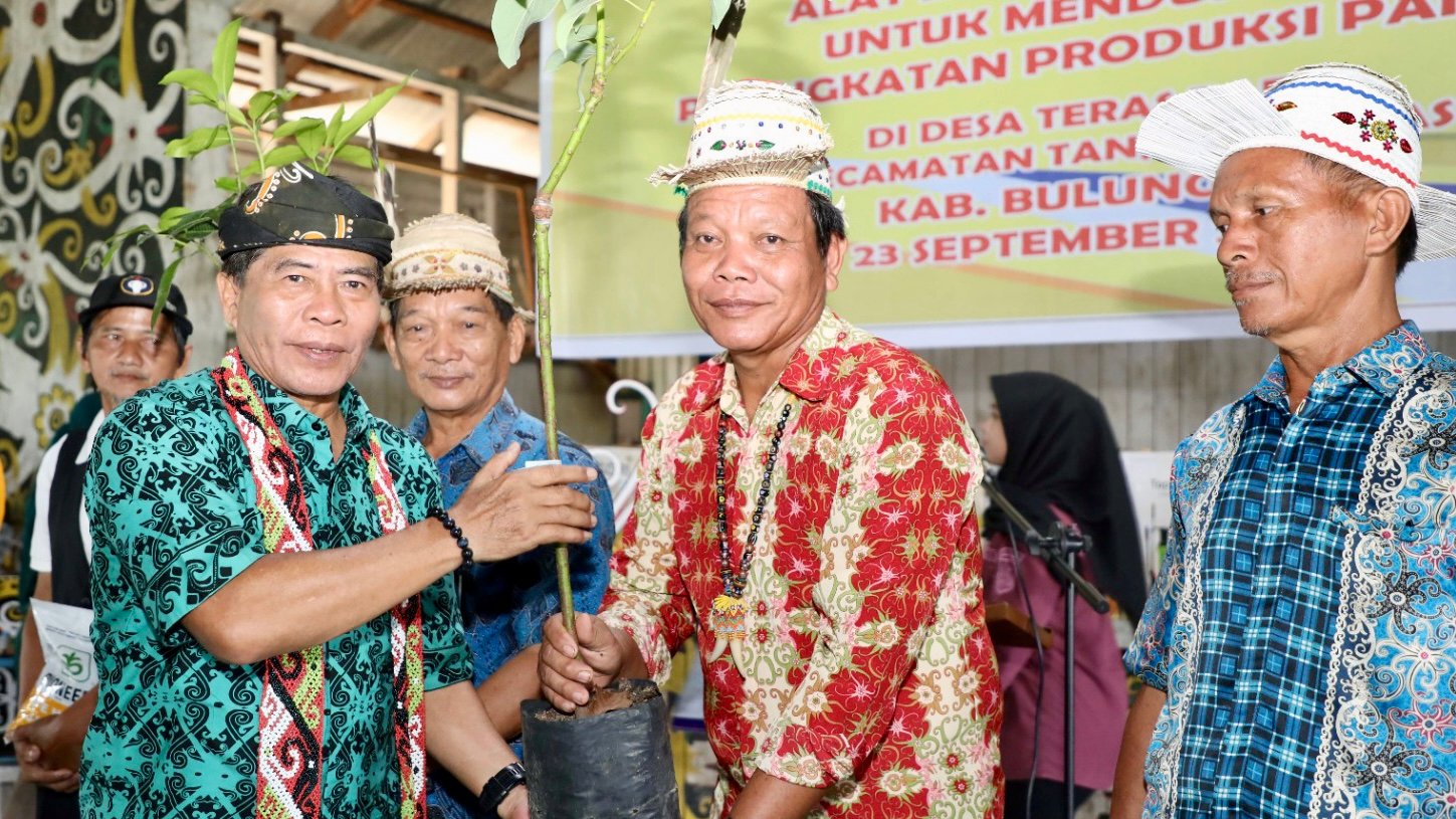 Jadi Pintu Masuk IKN, Kaltara Berbenah Tingkatkan Produktivitas Pangan Nasional