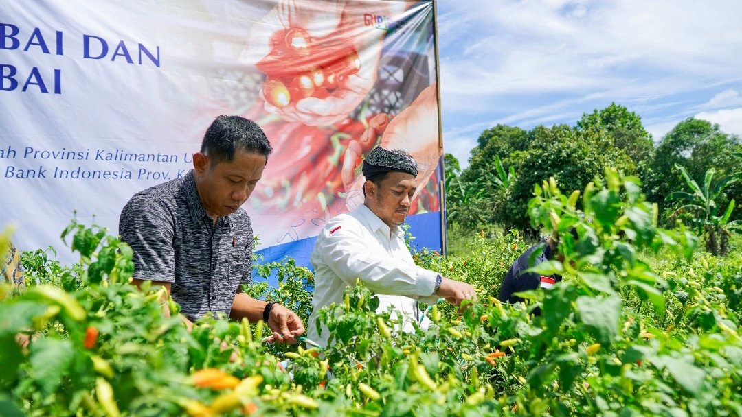 Komoditas Perikanan Penyumbang Inflasi di Periode Juni 2024