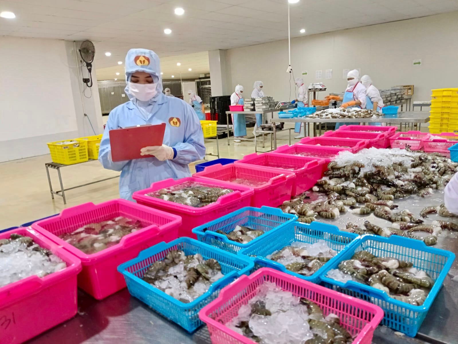 DKP Petakan Potensi Hilirasi Produk Perikanan