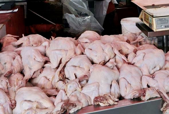 Kabar Pasar Modern Kaltara: Harga Daging Ayam Turun 1,47%