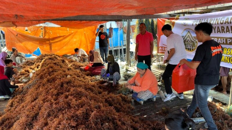 DPRD Nunukan Sampaikan Persoalan Rumput Laut ke Dirjen Kementerian Perikanan dan Kelautan