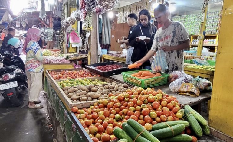 Harga Cabai di Nunukan Melonjak Tajam Rp 240.000 Per Kg