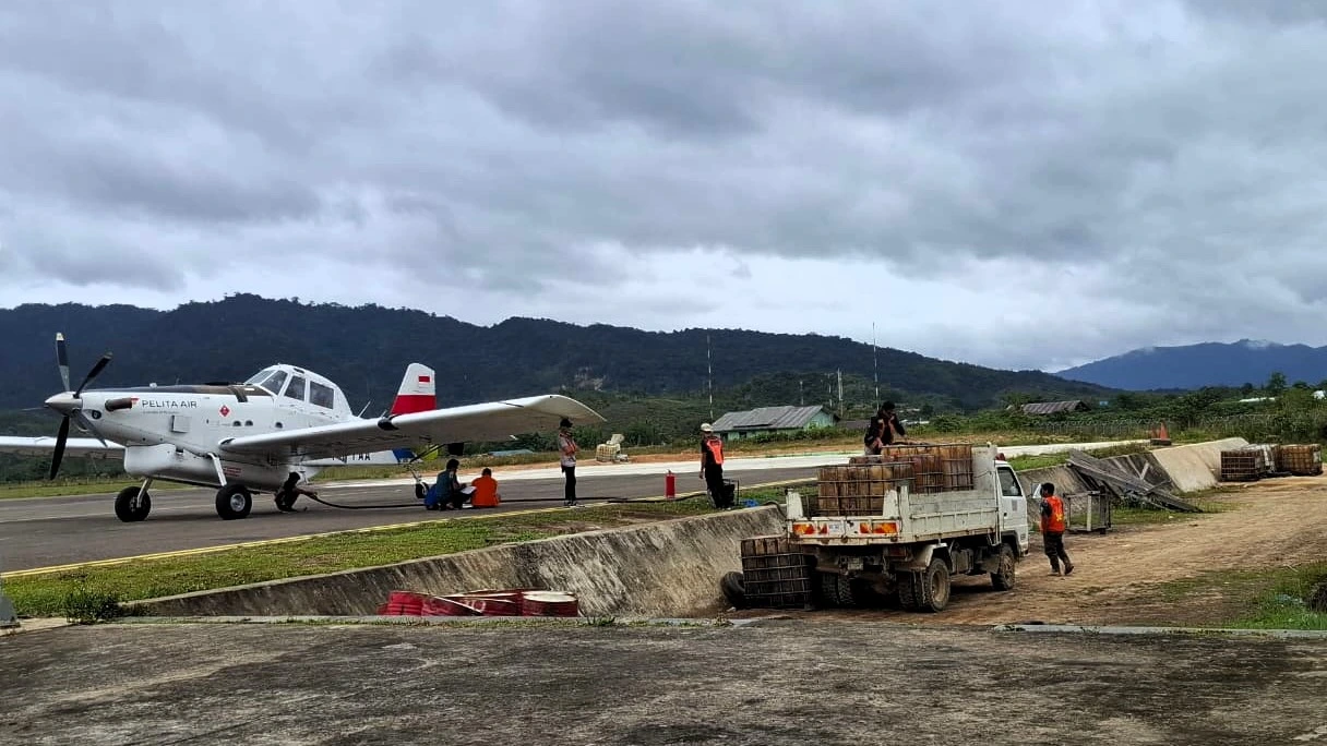 Foto: Oktavian Balang/detikKalimantan