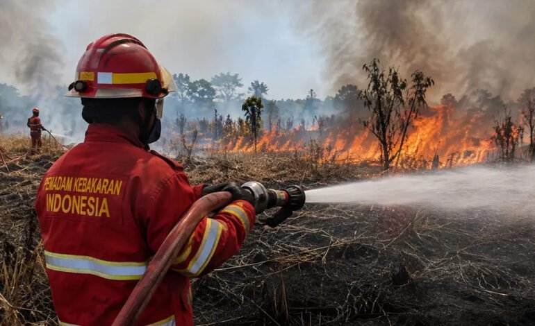 Indonesia Dominasi Hotspot Karhutla di ASEAN, Ribuan Titik Panas Terdeteksi Satelit Jelang Puncak Kemarau