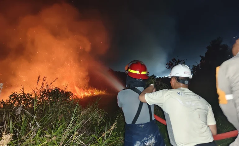 Kebakaran Lahan di Juata Permai Ancam Pemukiman Warga, Tim Gabungan dan PT PRI Berjibaku Hingga Tengah Malam
