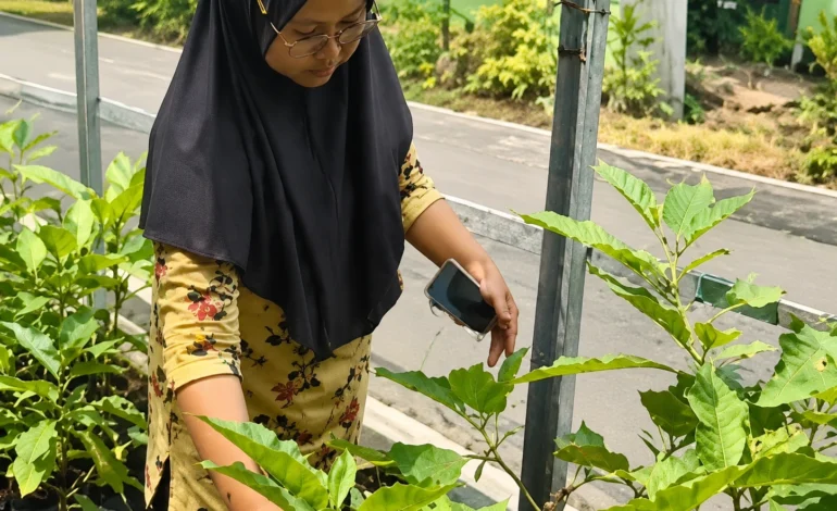 Berawal dari Kebun Kecil, KWT Dahlia Juata Permai Sukses Sulap Hasil Tani Jadi Usaha UMKM Beromzet Bersama PT PRI